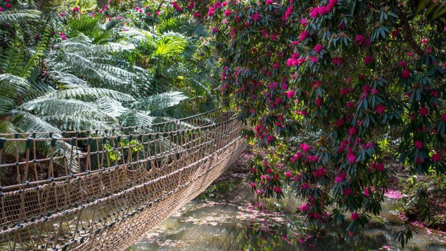 Abbotsbury Subtropical Gardens, United Kingdom